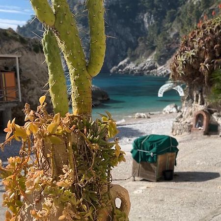 Capri Magic House On The Beach Extérieur photo