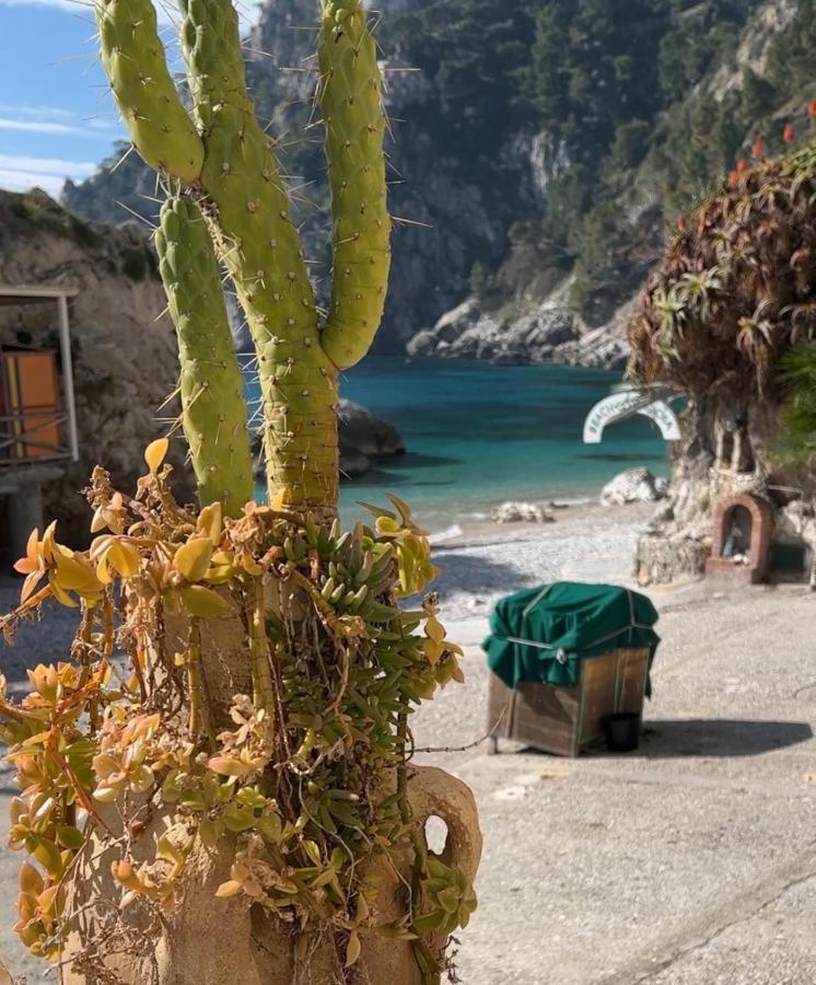 Capri Magic House On The Beach Extérieur photo